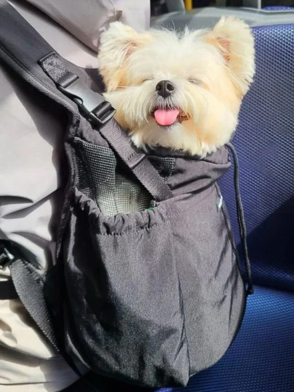 ComfortFit Hands-Free Dog Carrier Backpack - Black